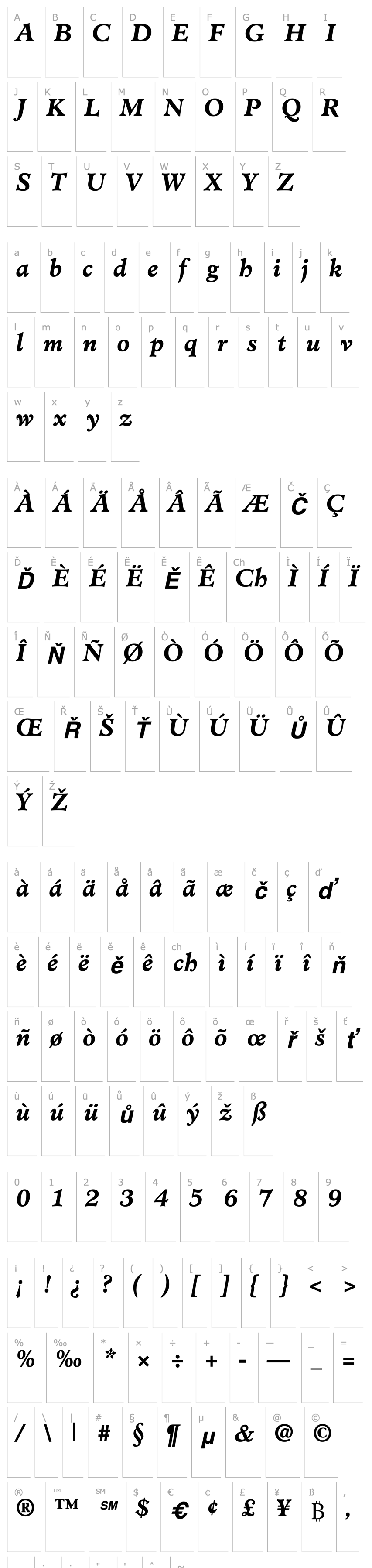 Overview Cleric SSi Bold Italic