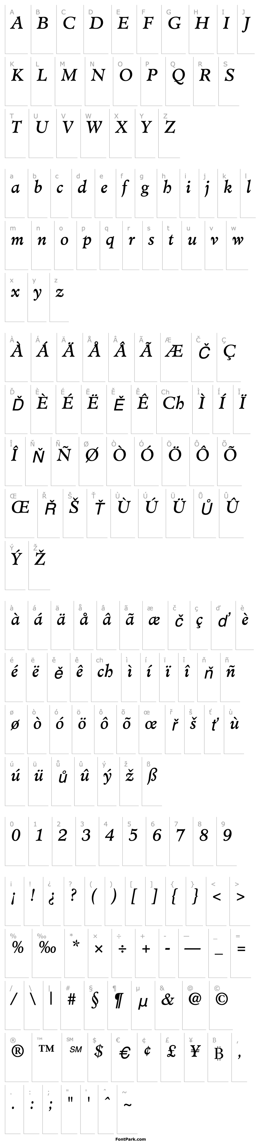 Overview Cleric SSi Italic