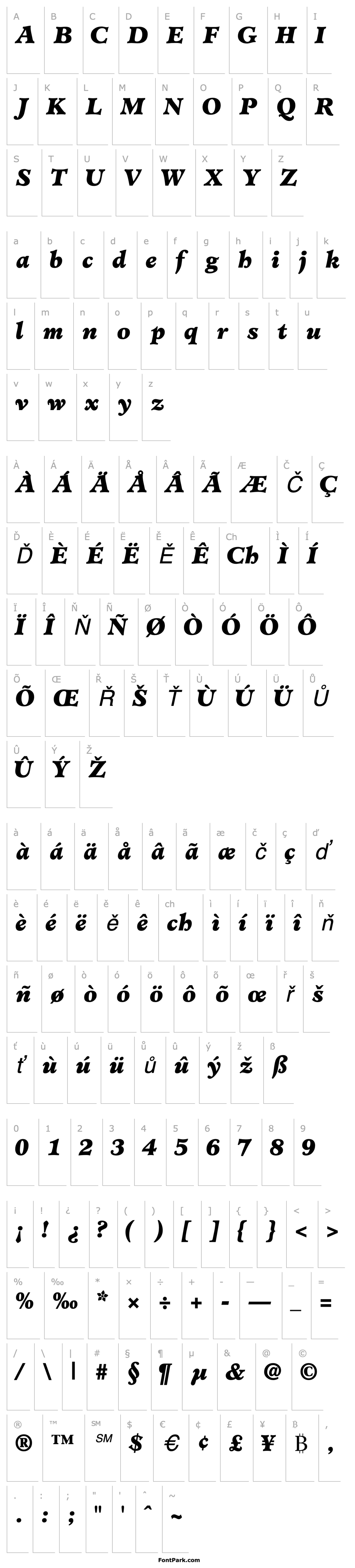 Overview ClericBlackSSK Italic