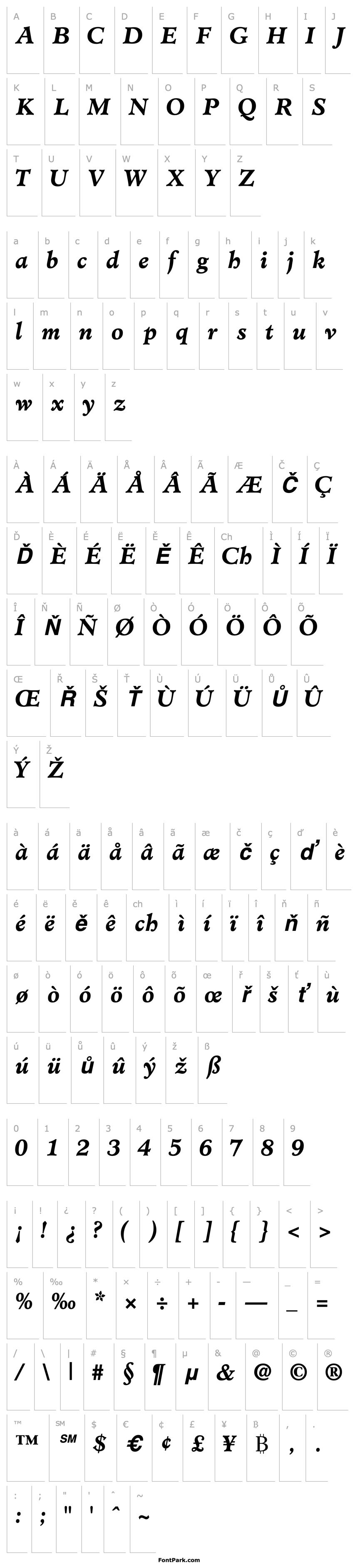 Overview ClericSSK Bold Italic