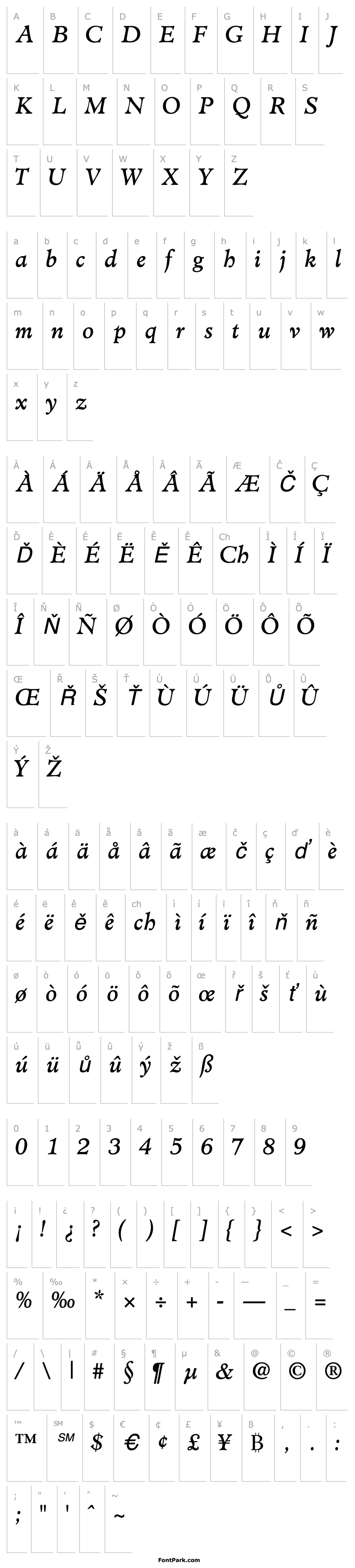 Overview ClericSSK Italic