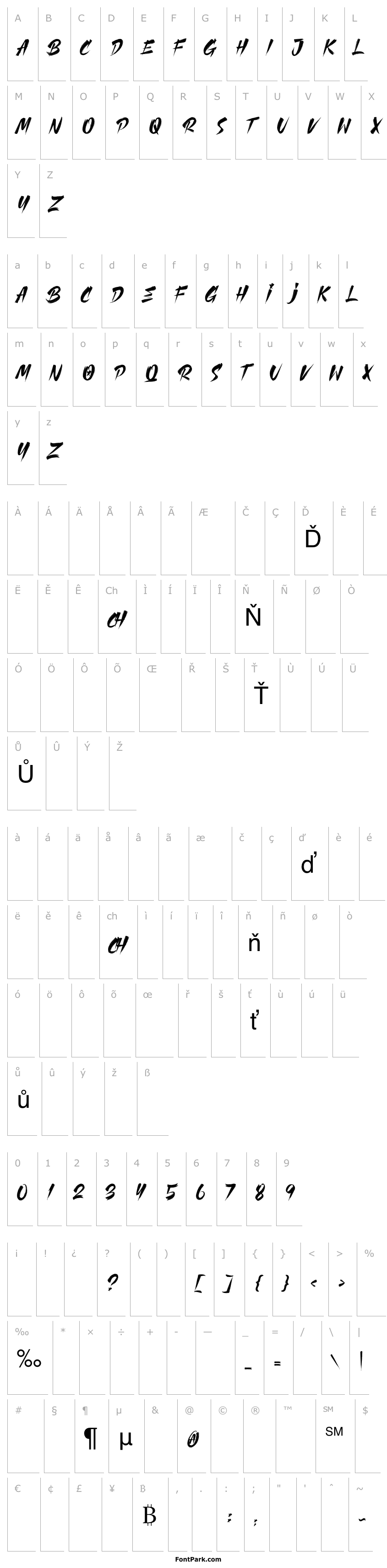Overview CLUISHER BRUSH