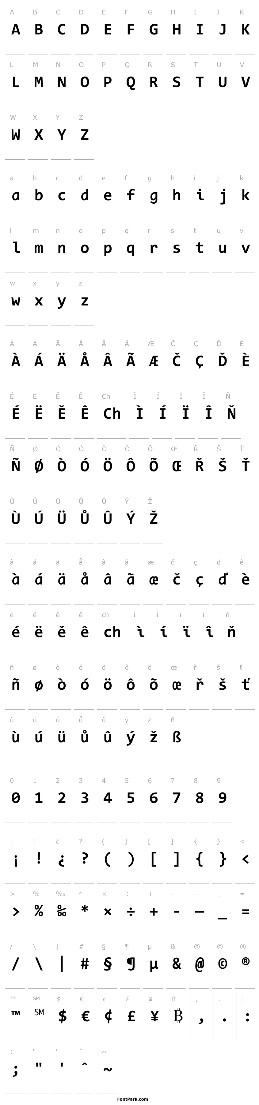 Přehled Code New Roman Bold