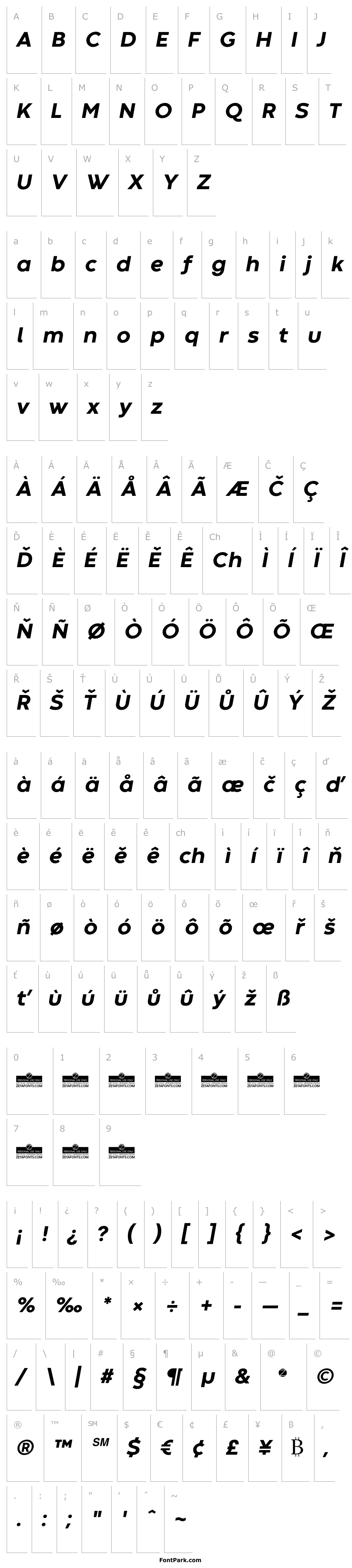 Přehled Codec Warm Trial ExtraBold Italic