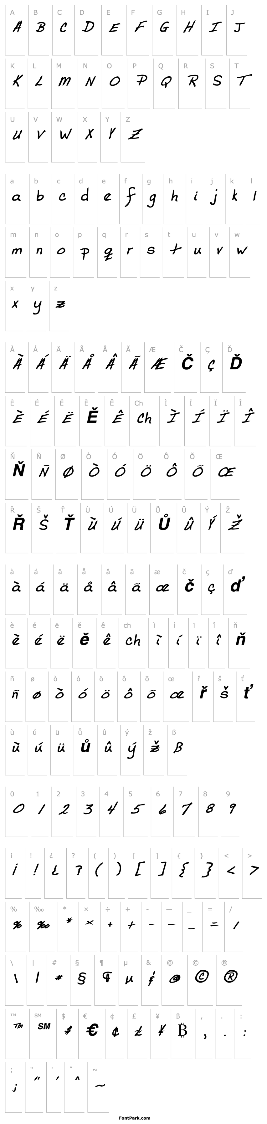 Overview CodysHand Bold Italic