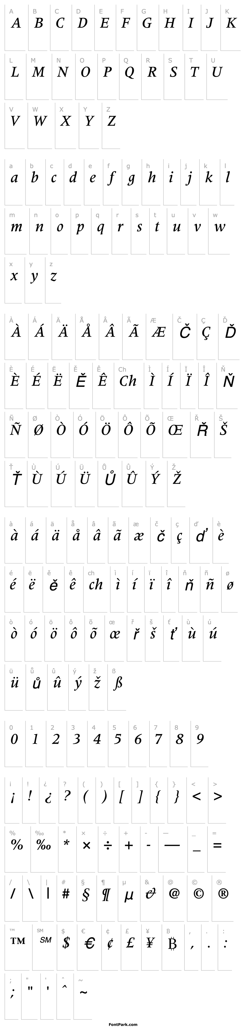 Přehled CoherentMediumSSK Italic