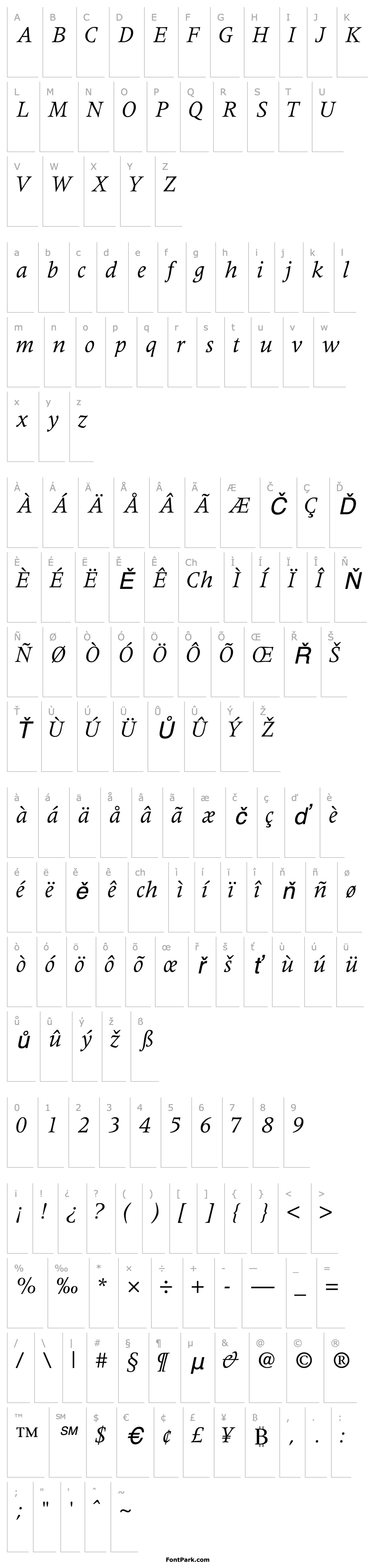 Přehled CoherentSSK Italic