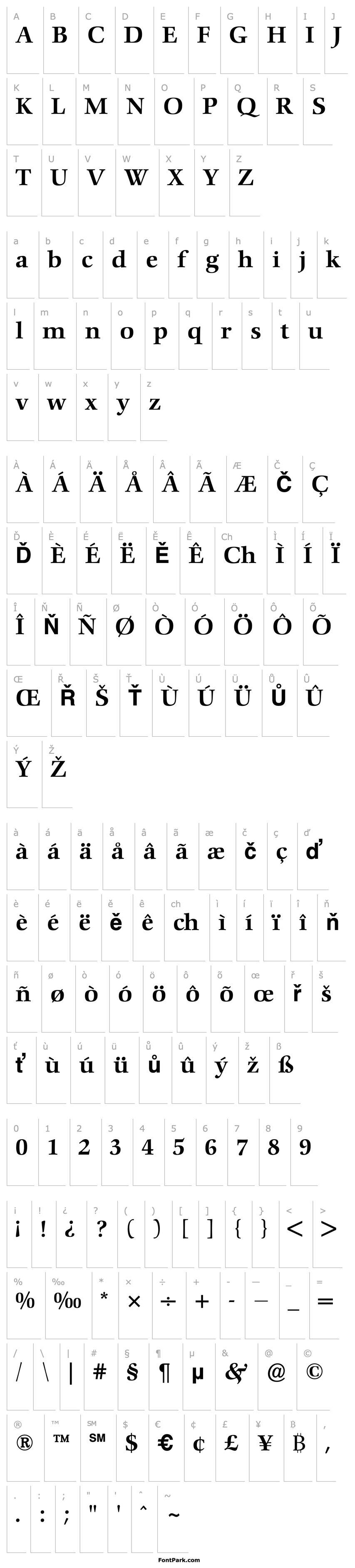 Přehled Comenius Antiqua Medium