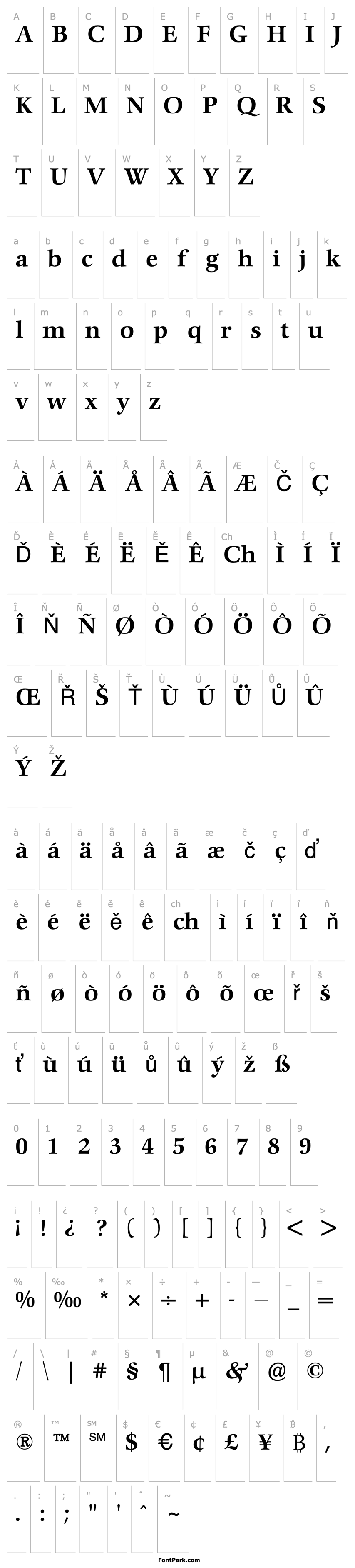 Overview ComeniusAntiqua Medium