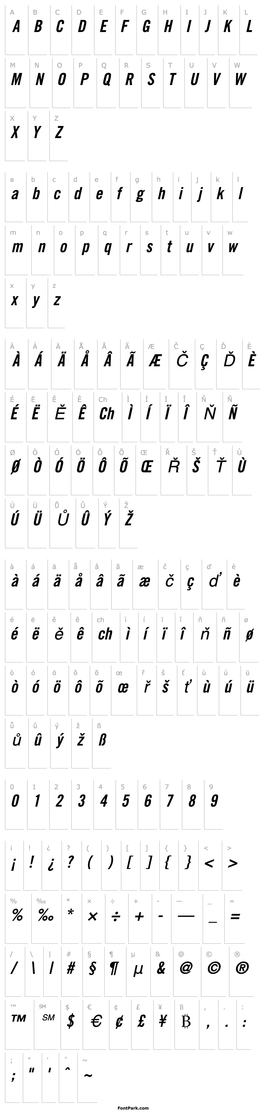 Overview CommerceBlackCondSSK Italic