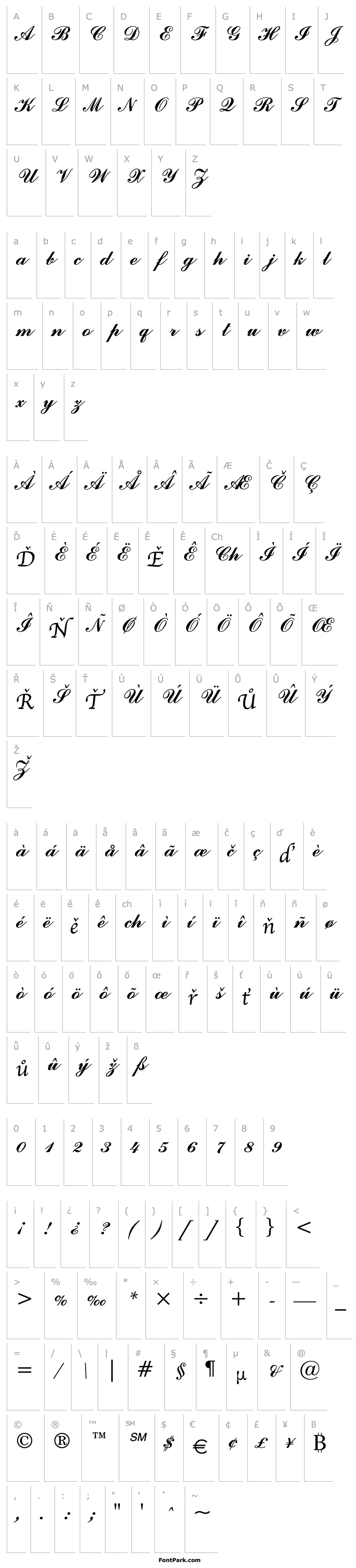 Overview Commercial Script BT