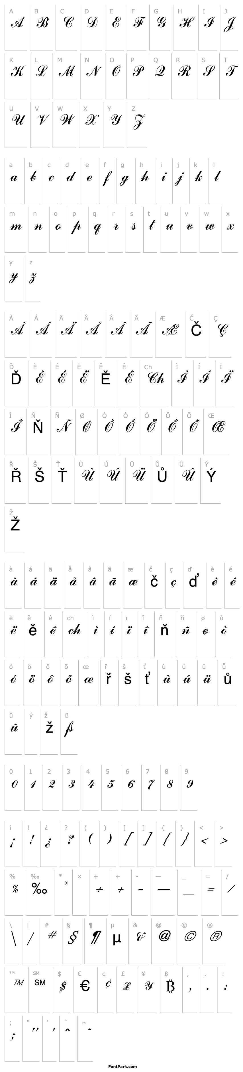 Overview Commercial Script Regular