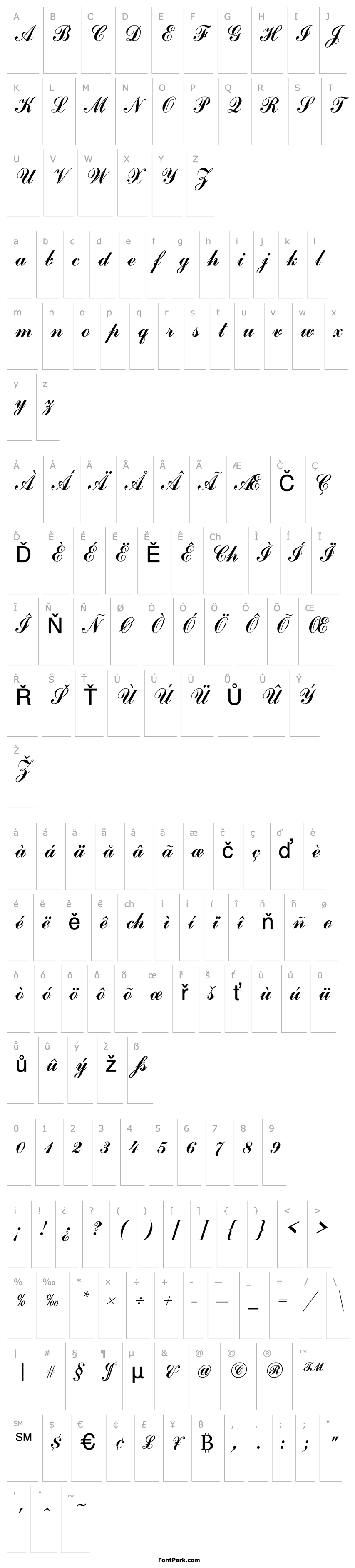 Overview CommercialScript Regular