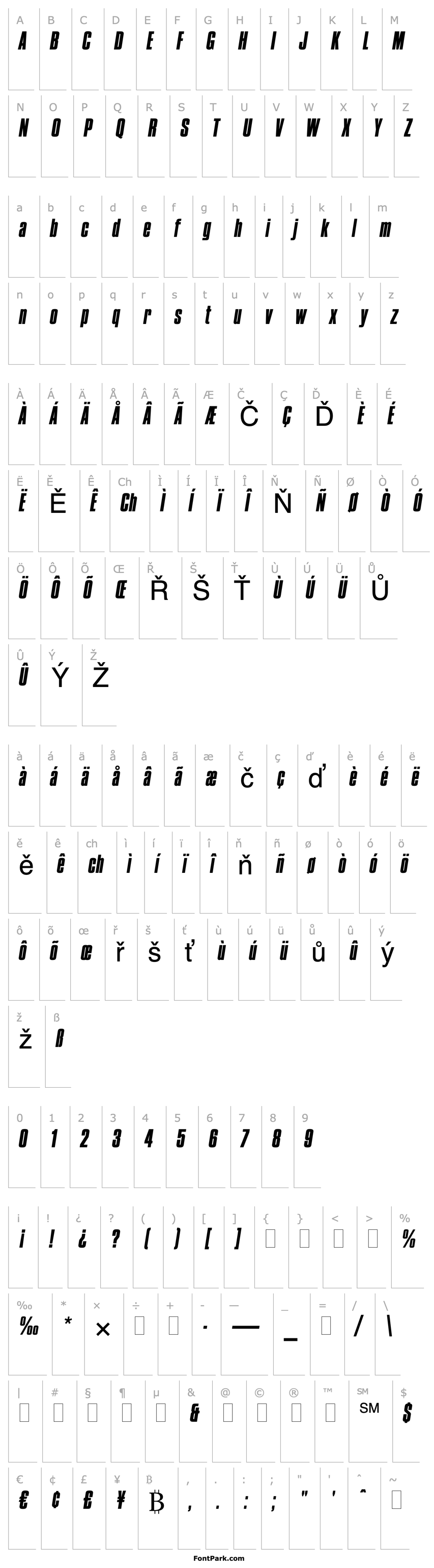 Přehled Compacta Italic Plain