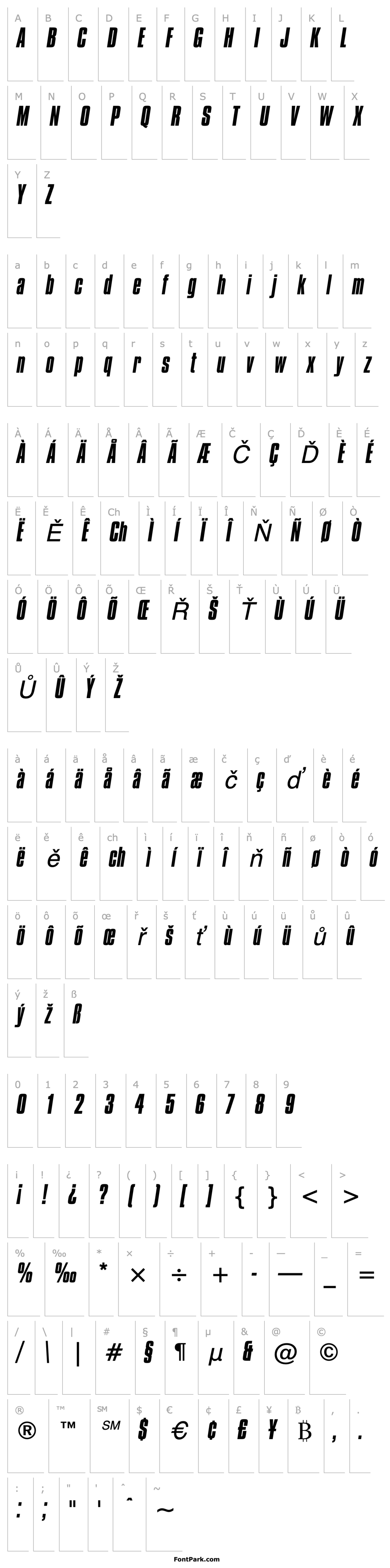 Přehled CompactaBT-Italic