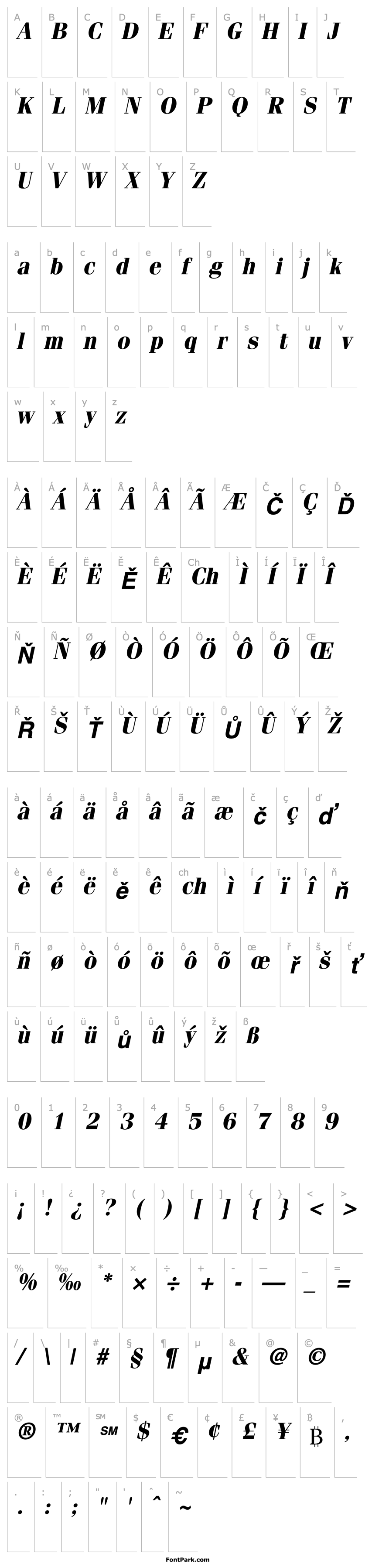 Overview Compendium SSi Bold Italic