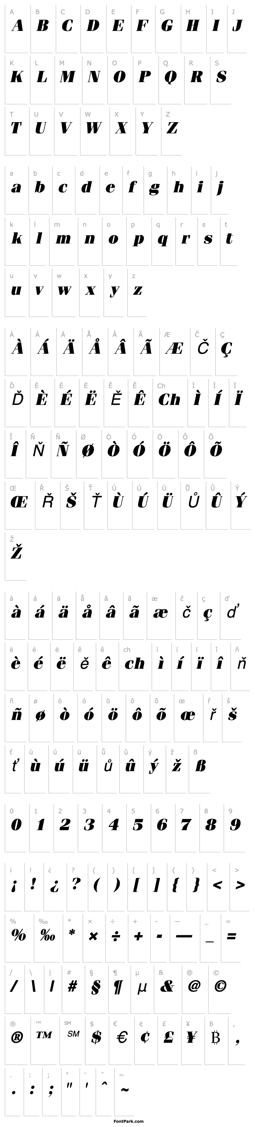 Přehled CompendiumBlackSSK Italic