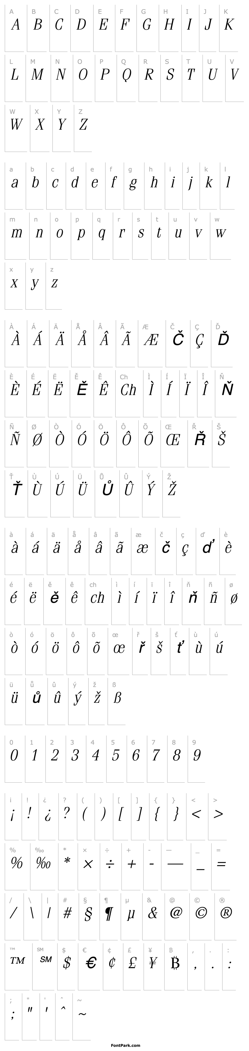 Přehled CompendiumLightSSK Italic