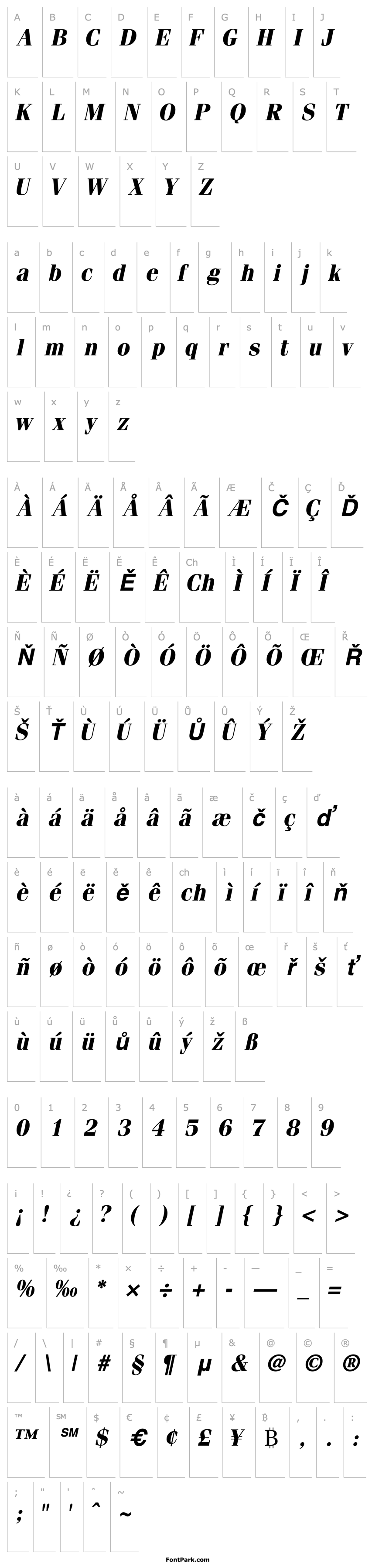 Přehled CompendiumSSK Bold Italic