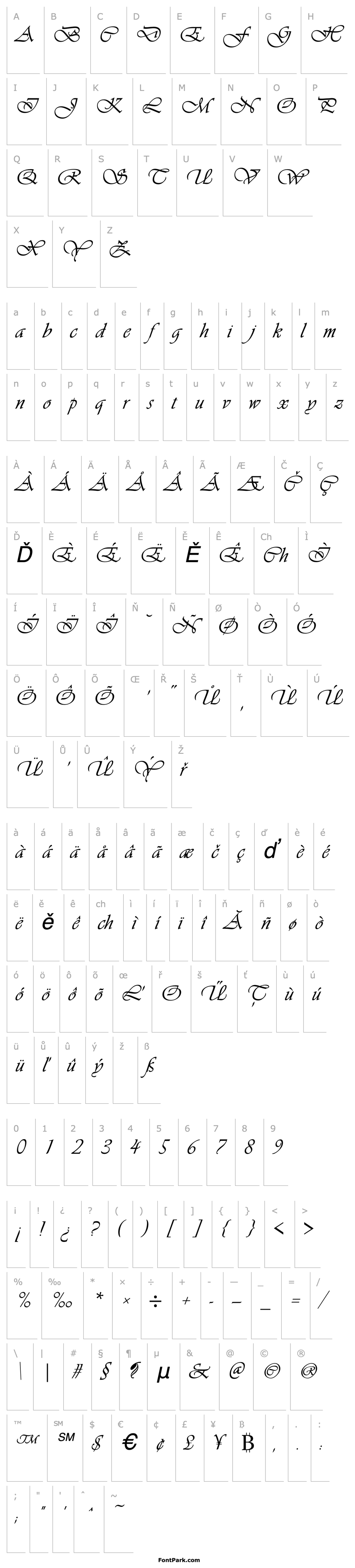 Overview Concerto Italic