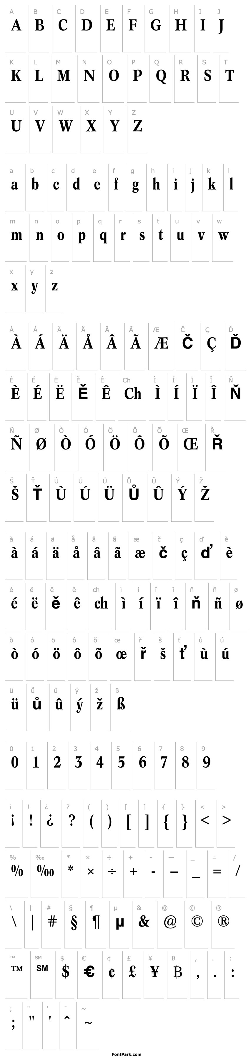 Overview Concorde BE Medium Condensed