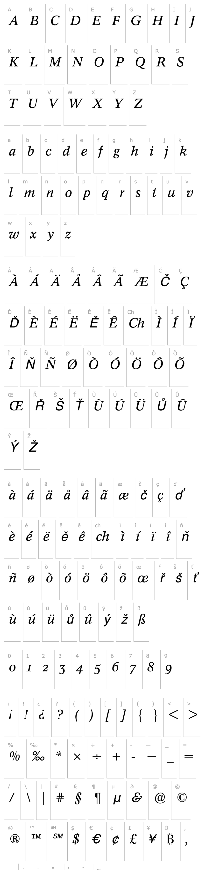 Overview Concorde (R) Expert Italic OsF