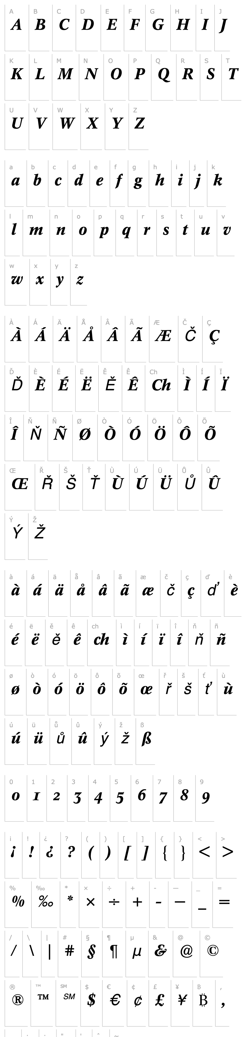 Přehled Concorde (R) Expert Medium Italic OsF