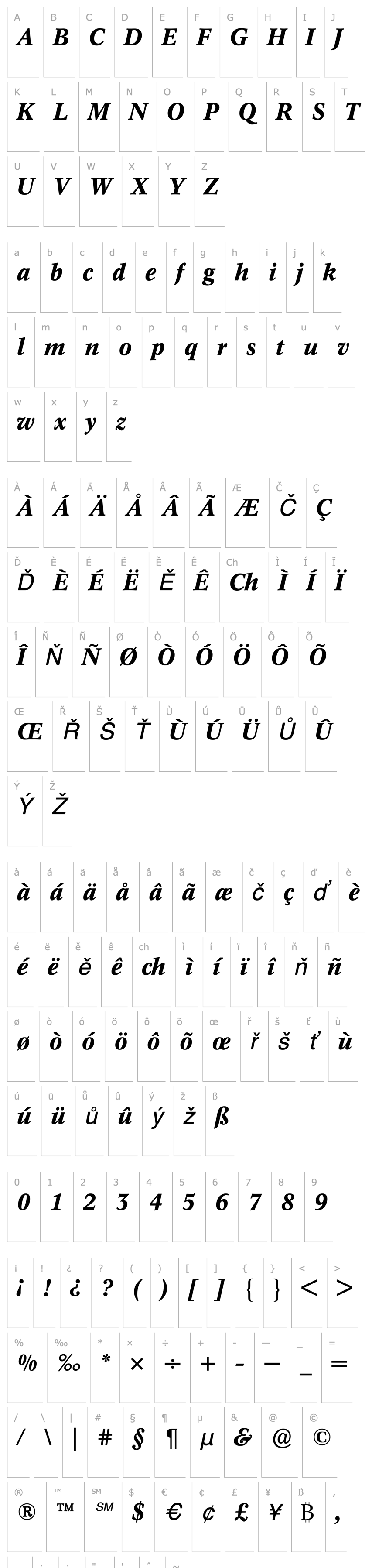 Overview Concorde (R) Medium Italic