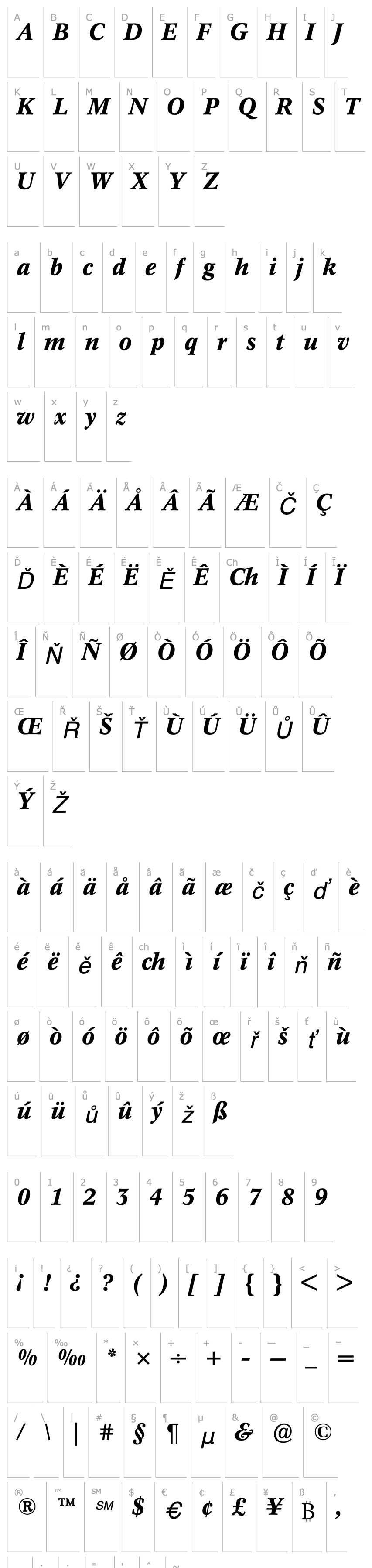 Přehled ConcordeBE-Medium Italic