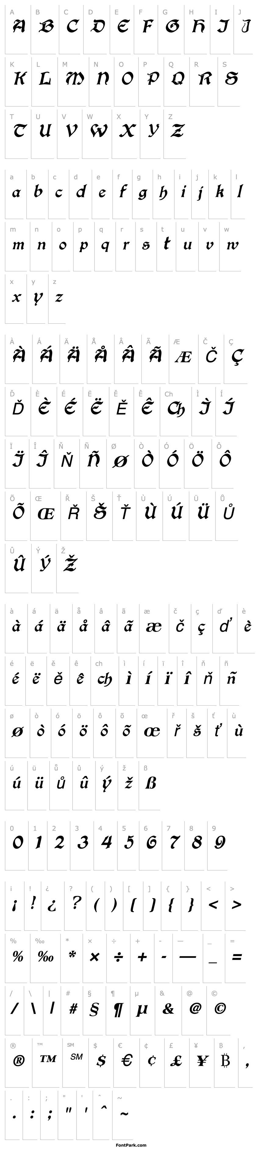 Přehled ConcordiaSSK Italic