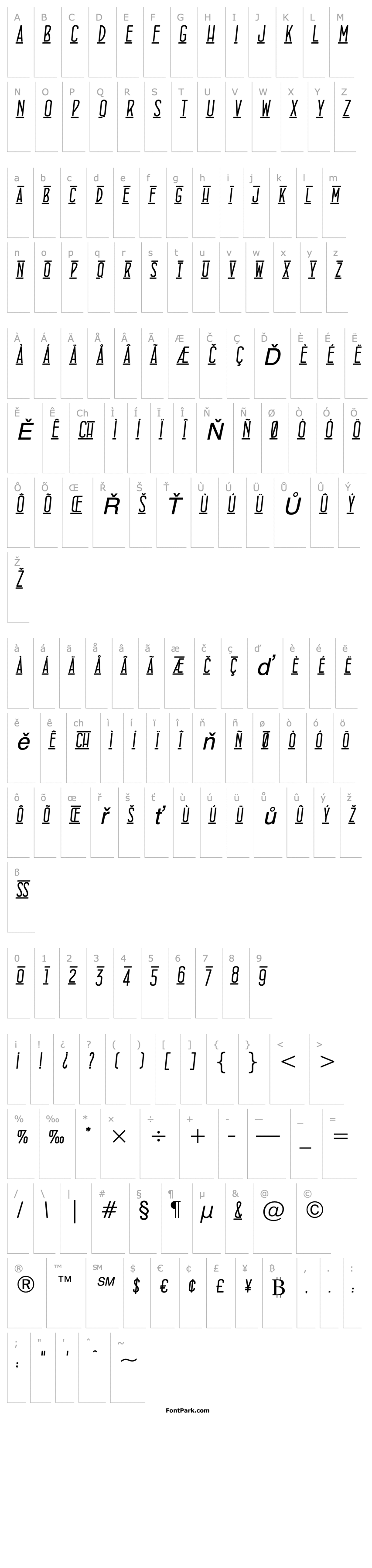 Přehled ConcursoItalian BTN Lined Oblique