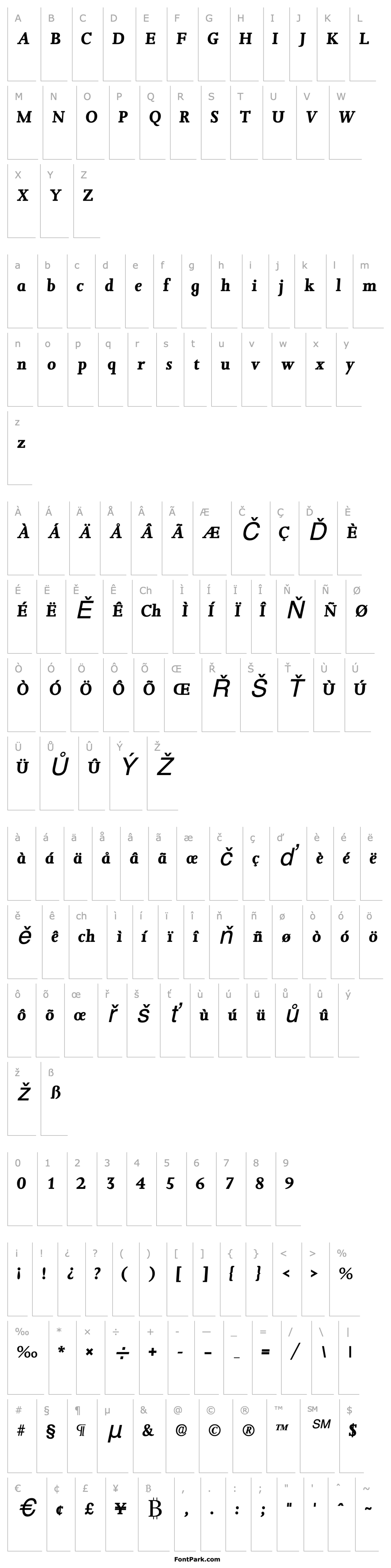 Přehled ConfirmaSSK  Bold Italic