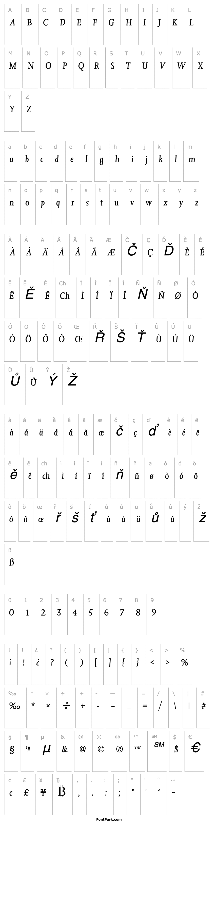 Přehled ConfirmaSSK Italic