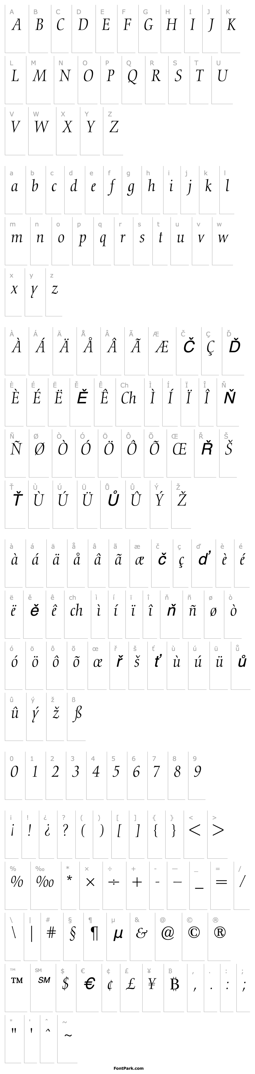 Overview ConquistaLightSSK Italic