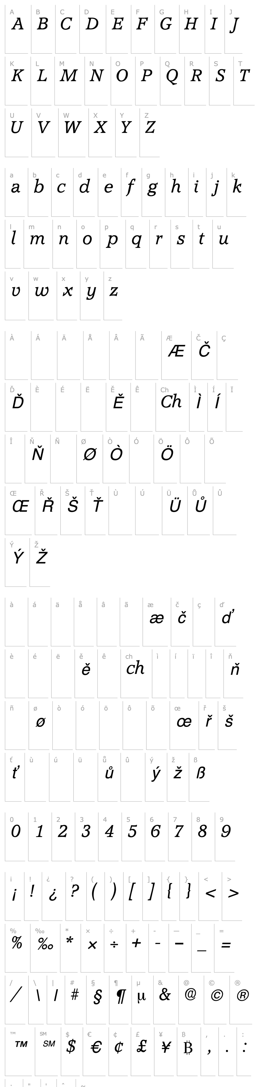 Overview ConsoDisplaySSK Italic