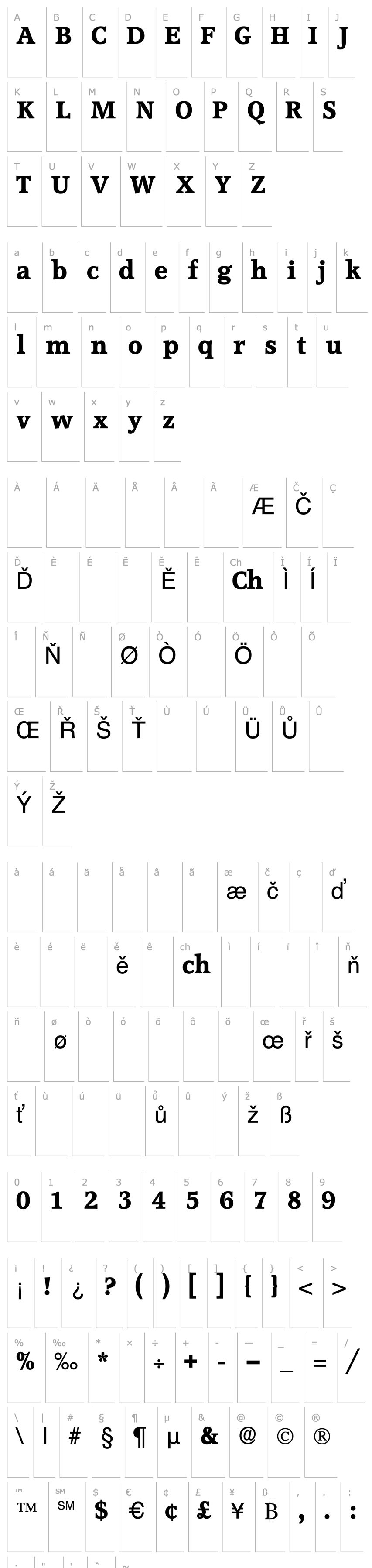 Overview ConsoDisplaySSK Regular