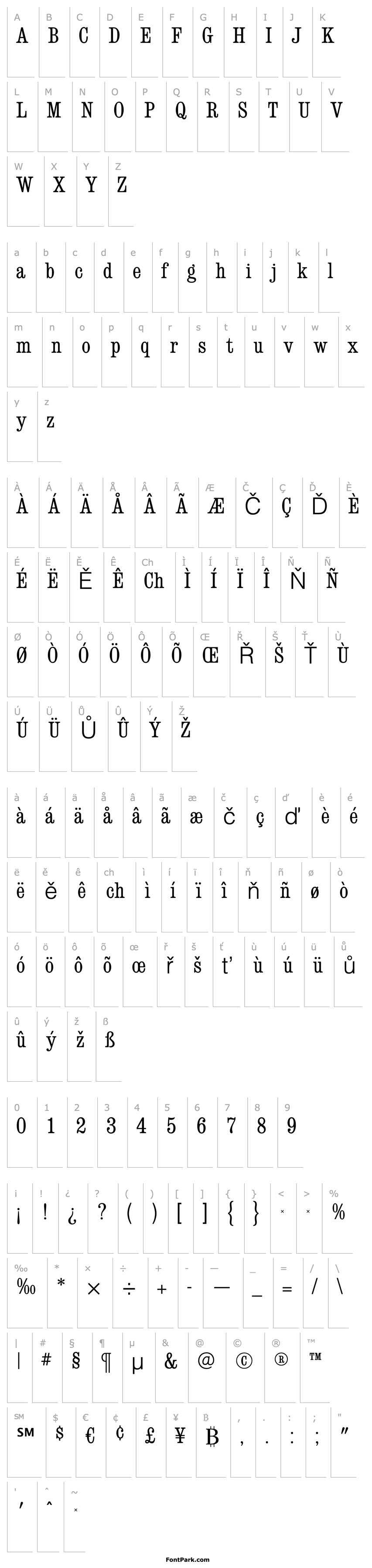 Přehled ConsortRR-LightCondensed