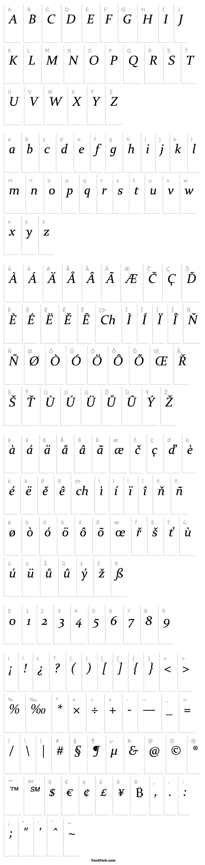 Overview Constantia Italic