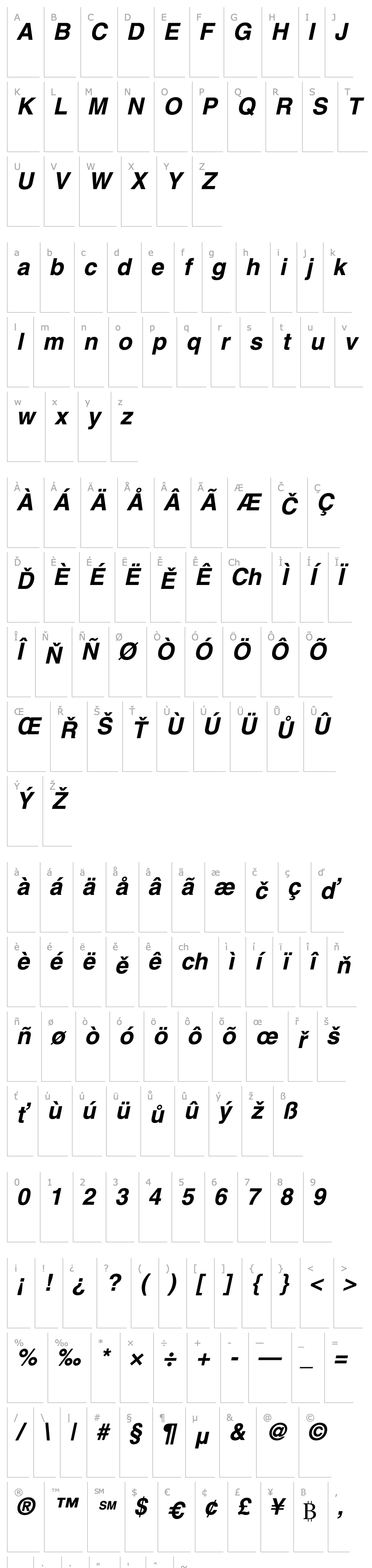 Overview Context SSi Bold Italic