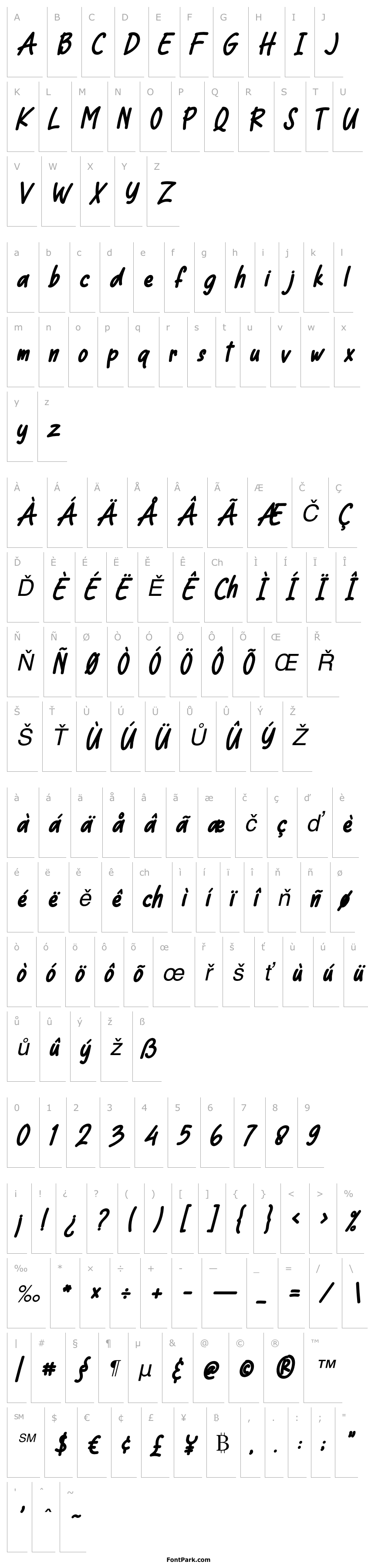 Přehled Cool Cat Italic