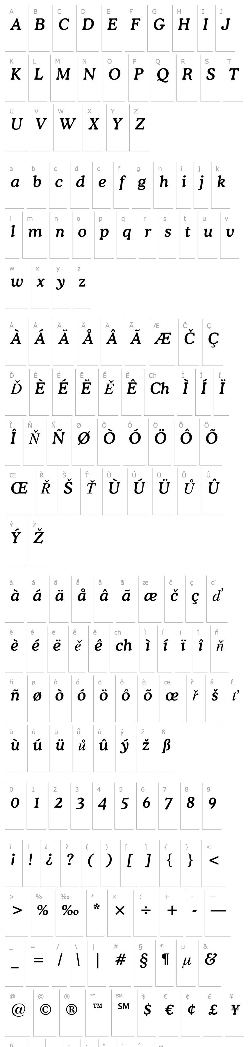 Overview Cooper Md BT Medium Italic