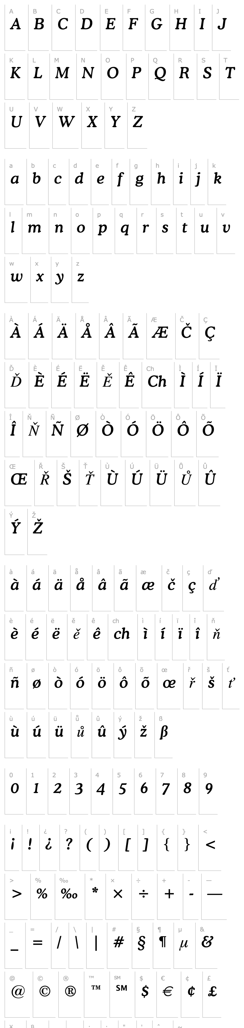 Overview Cooper Medium Italic BT