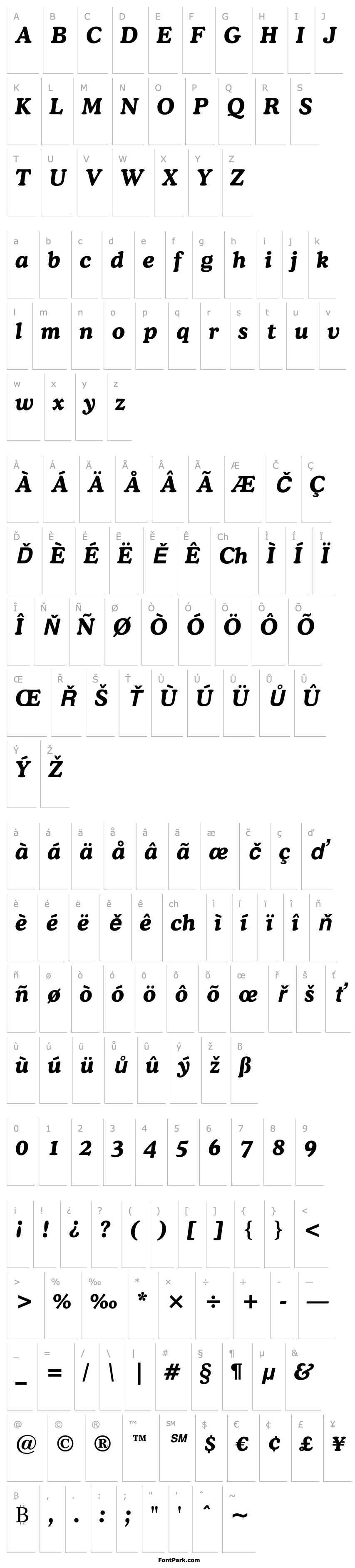 Přehled CooperBT-BoldItalic