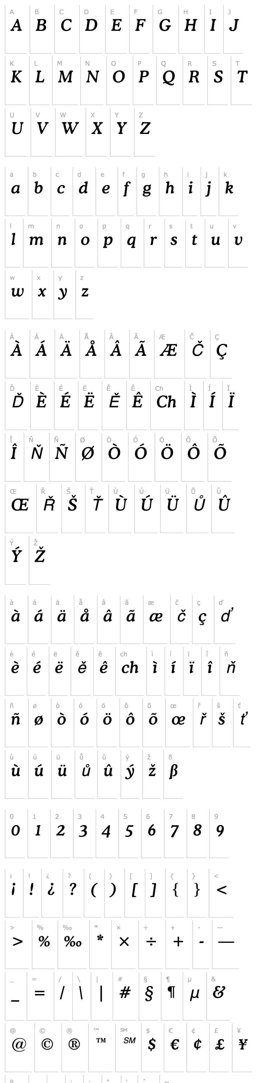 Overview CooperBT-MediumItalic