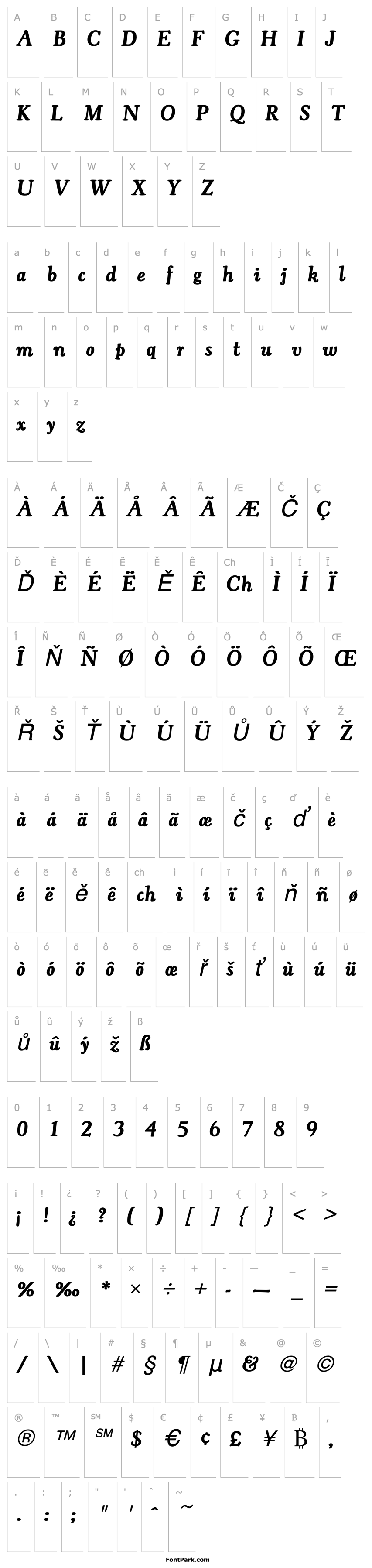 Přehled CooperOldStyURWTDem Italic