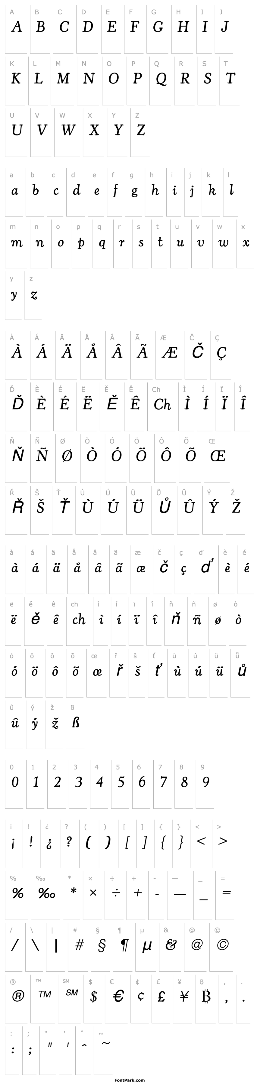 Overview CooperOldStyURWTLig Italic