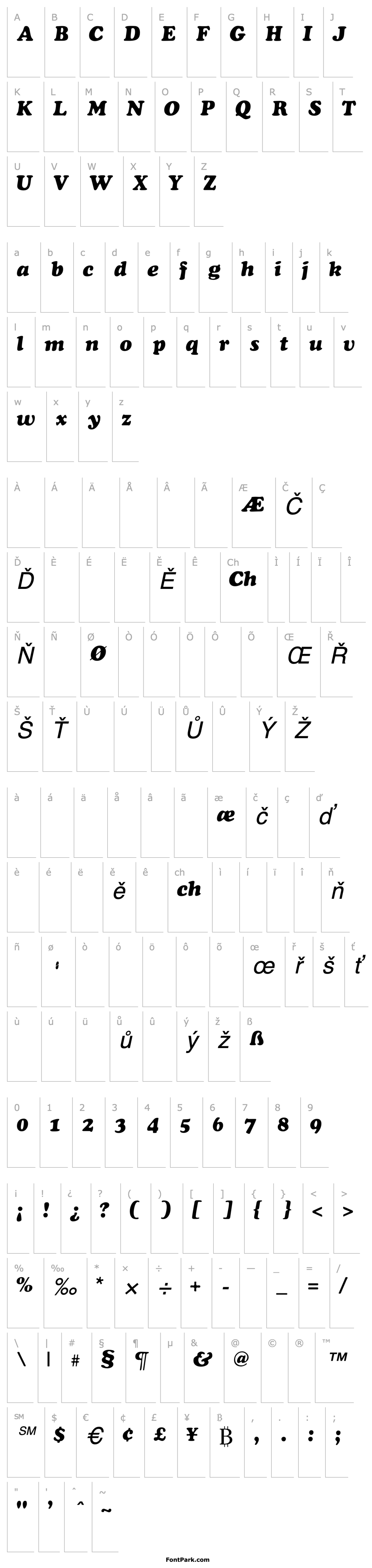 Overview CooperSSK Italic