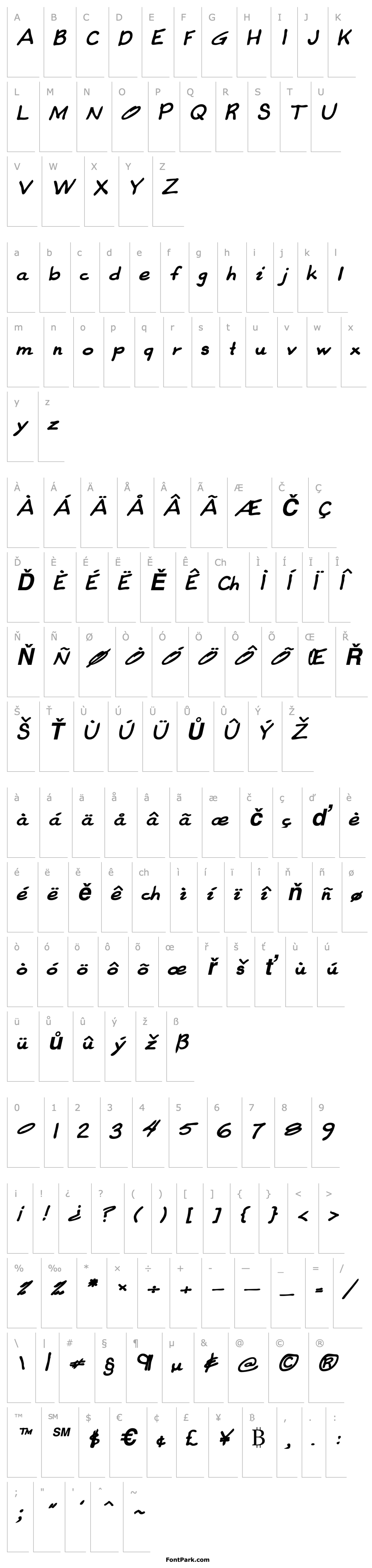 Overview CoreysHand Bold Italic