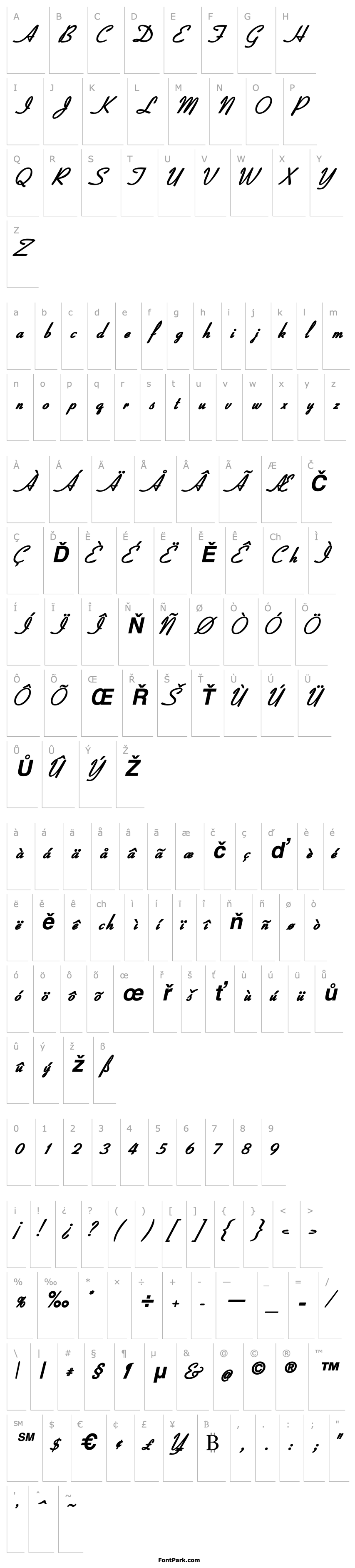 Overview CoronetSSK Bold Italic