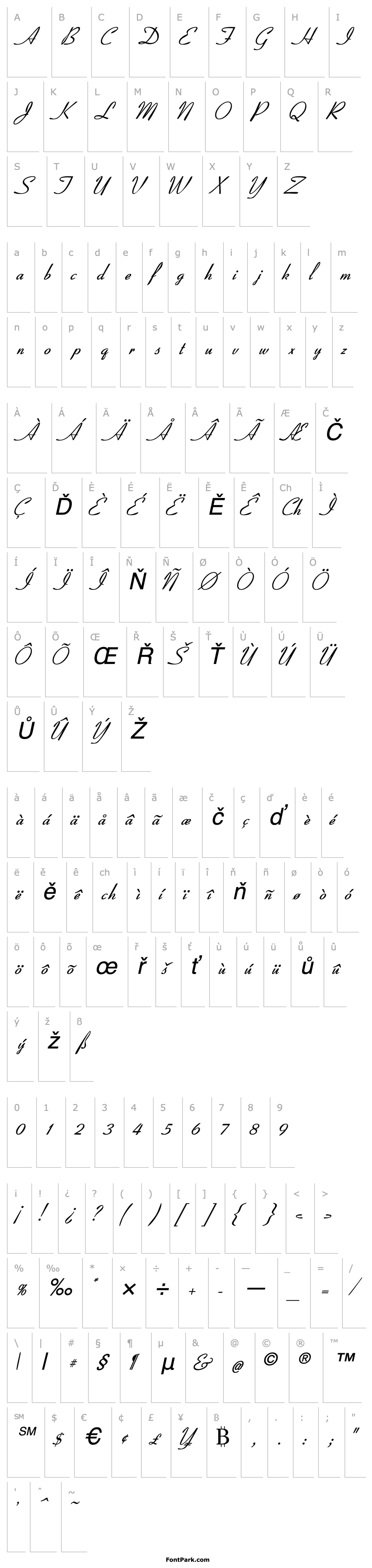 Overview CoronetSSK Italic